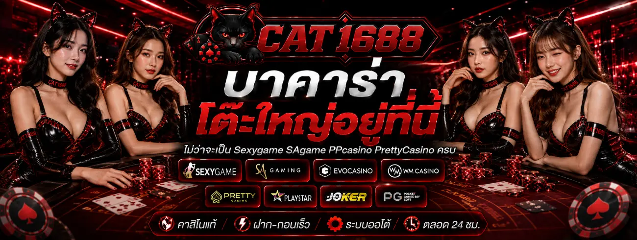 cat1688 banner